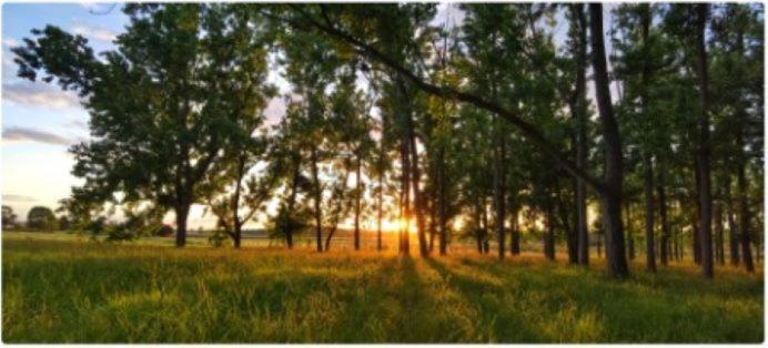 All Seasons Country Lodge Taree Bagian luar foto