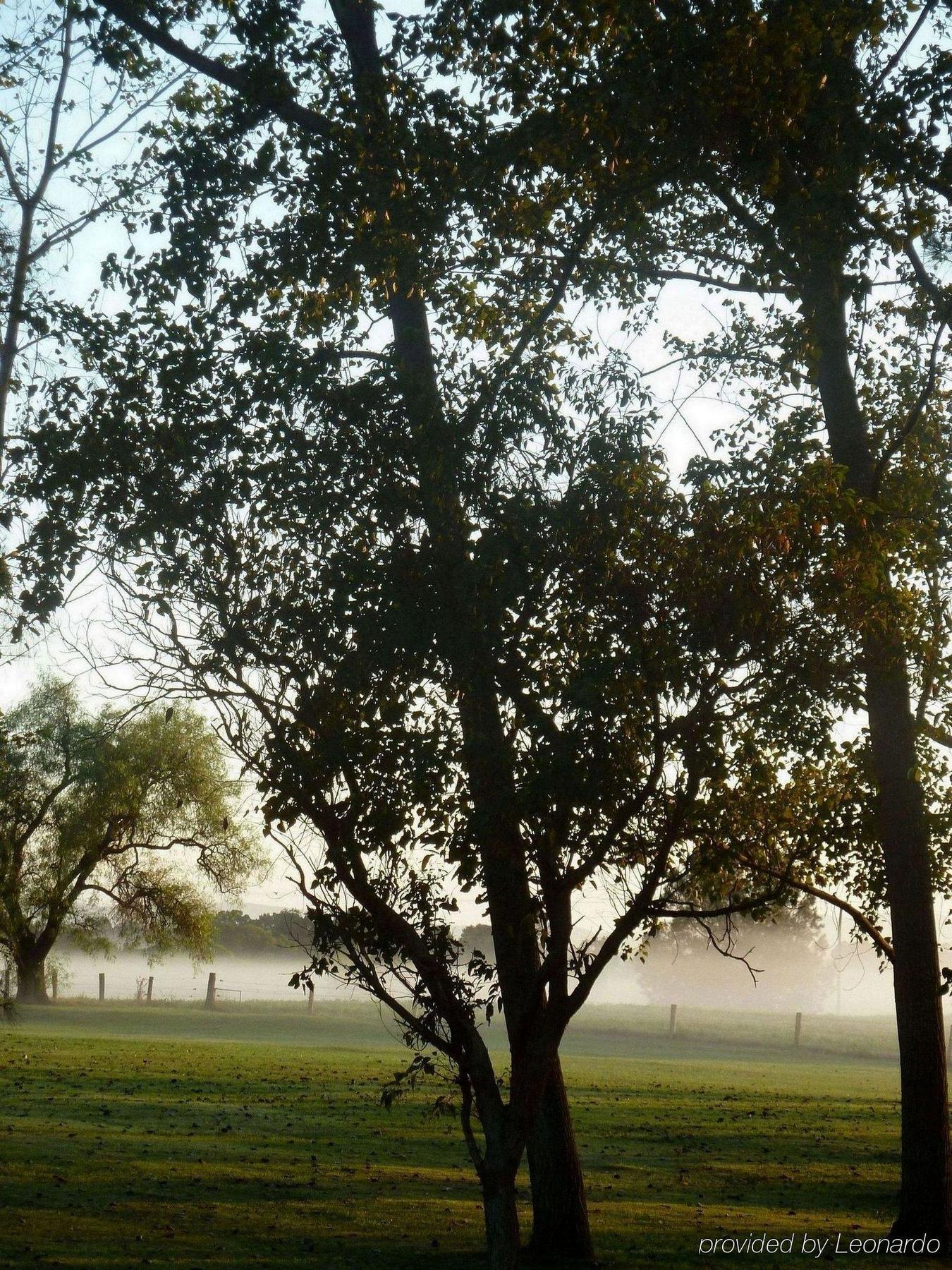 All Seasons Country Lodge Taree Bagian luar foto