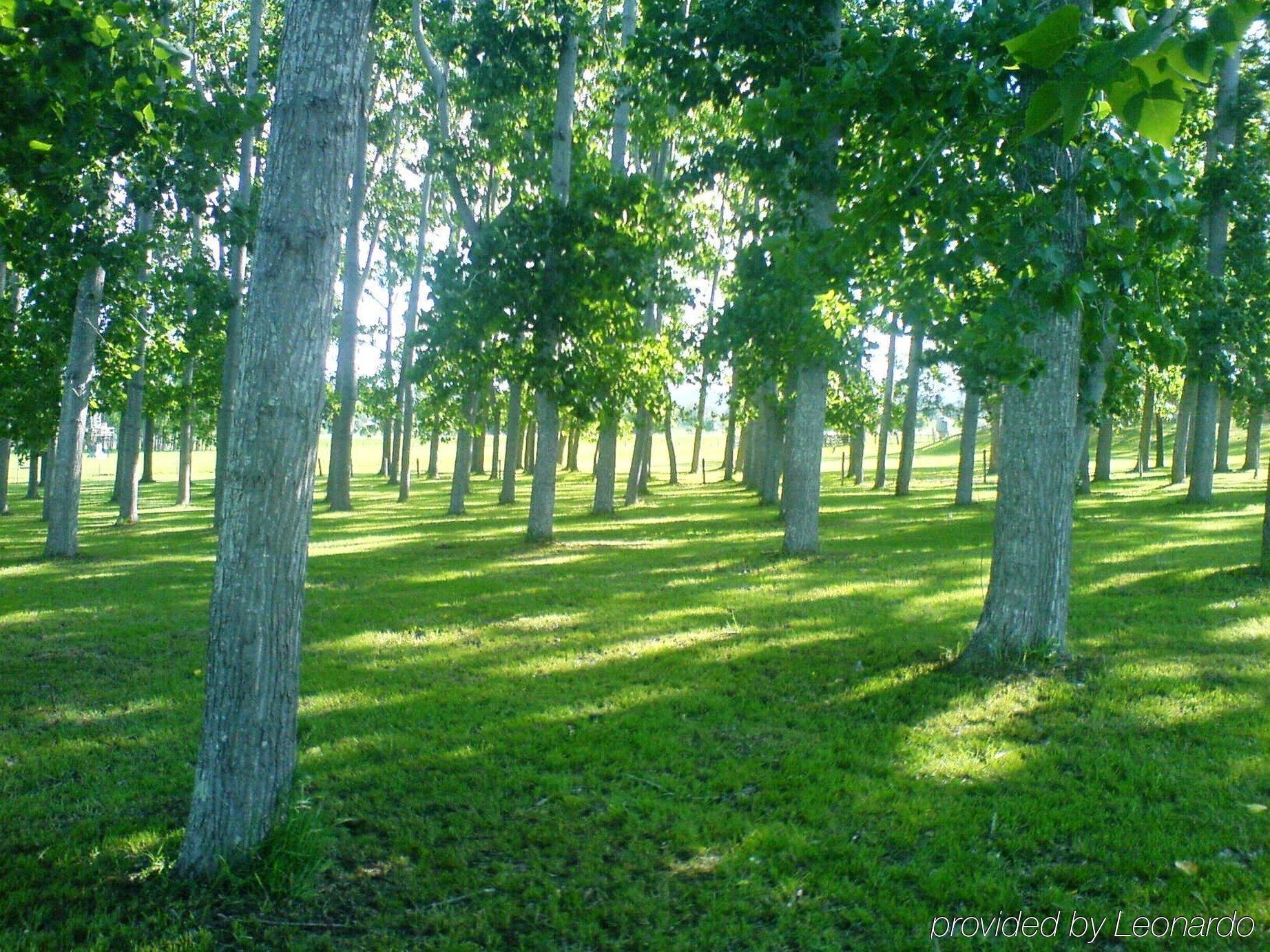 All Seasons Country Lodge Taree Bagian luar foto